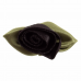 Rose Large with Green Leaves