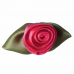 Rose Large with Green Leaves