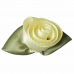 Rose Large with Green Leaves