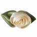 Rose Large with Green Leaves
