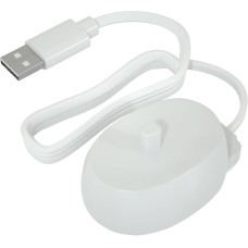 Toothbruash usb charging base