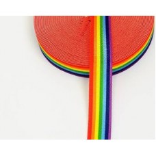 Rainbow Elastic 25mm